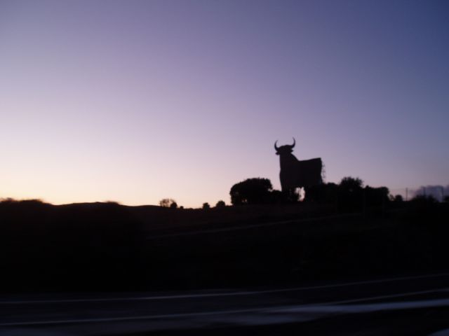 P1010093.JPG