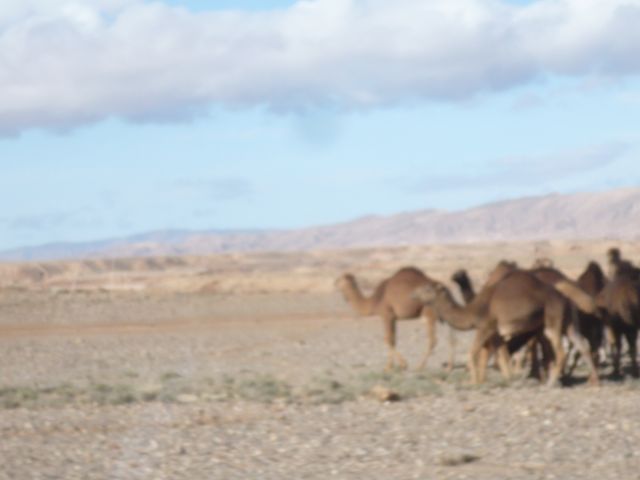 P1140156.JPG