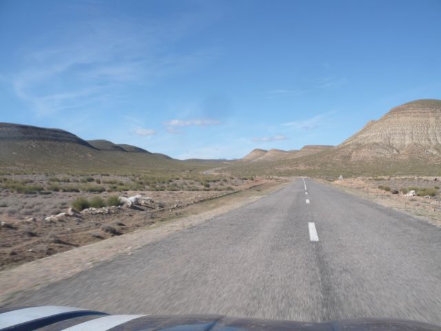 P1140176.JPG