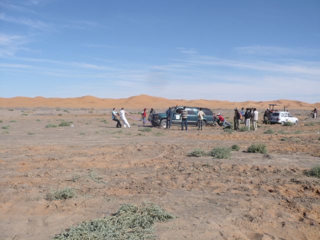 P1140275.JPG