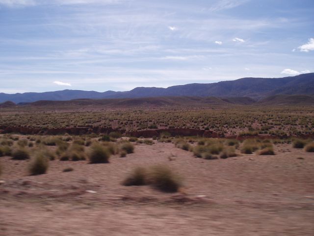 P1010175.JPG