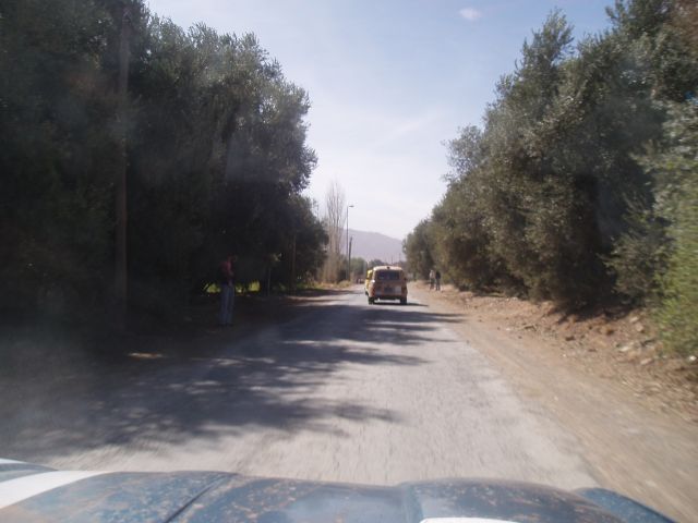 P1010180.JPG