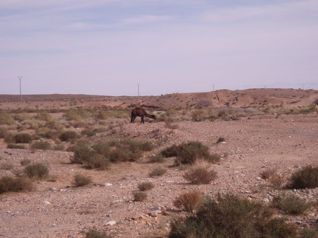 P1010203.JPG