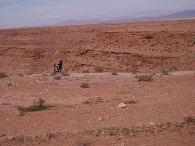 P1010228.JPG