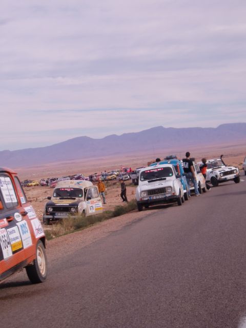 P1010229.JPG