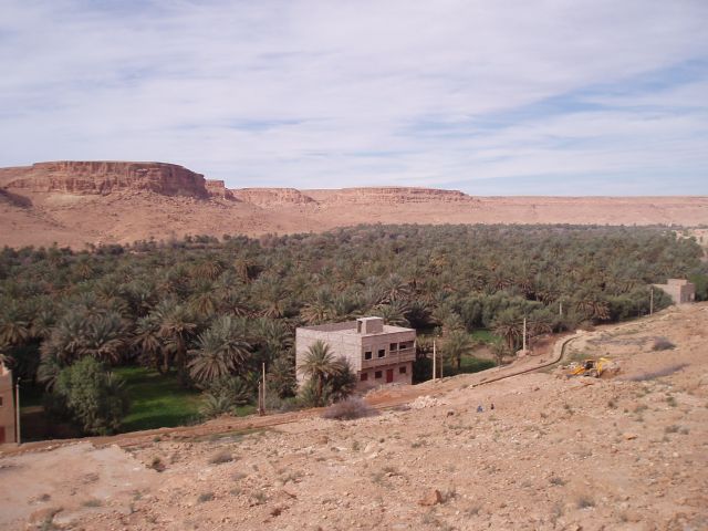 P1010236.JPG