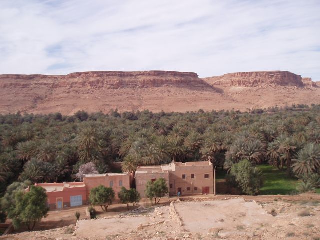 P1010239.JPG