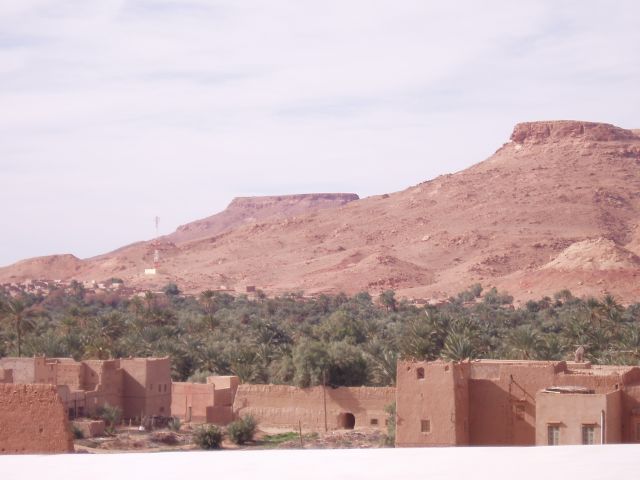 P1010254.JPG