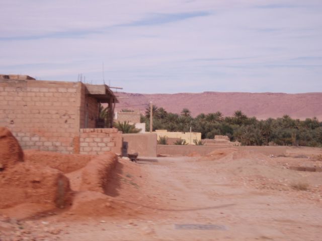 P1010265.JPG
