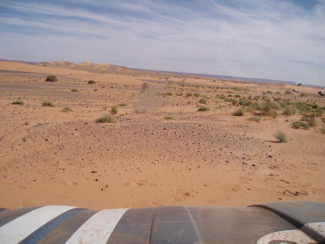 P1010333.JPG