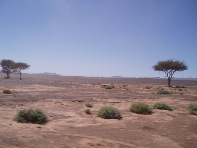 P1010338.JPG
