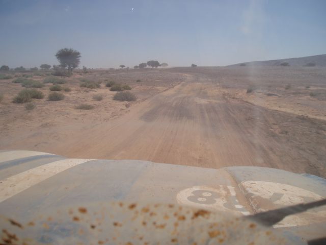 P1010340.JPG