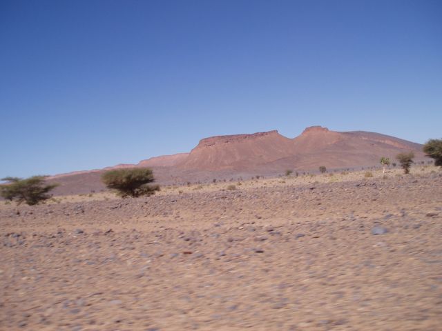 P1010345.JPG