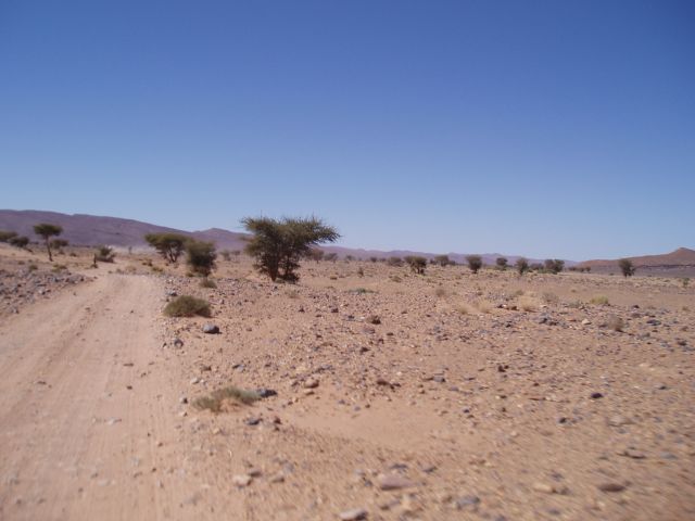 P1010347.JPG