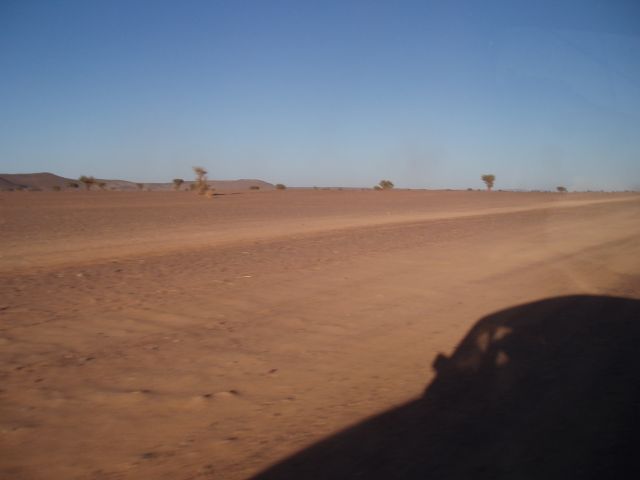 P1010370.JPG
