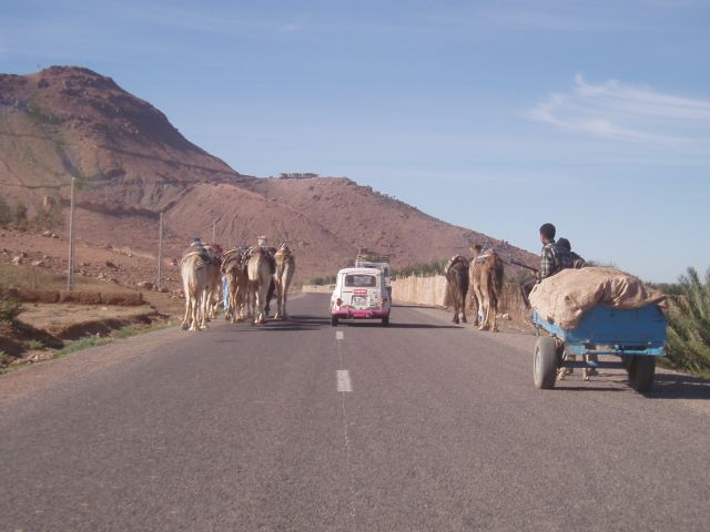 P1010439.JPG