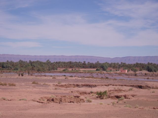 P1010447.JPG