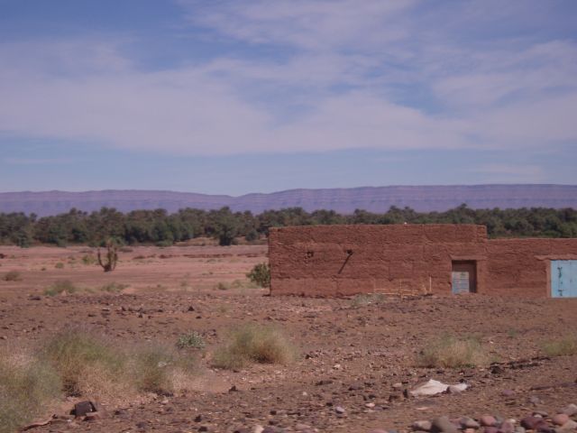 P1010449.JPG