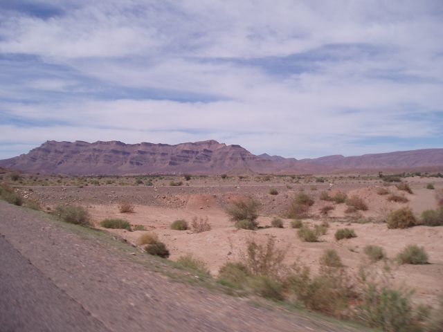 P1010458.JPG