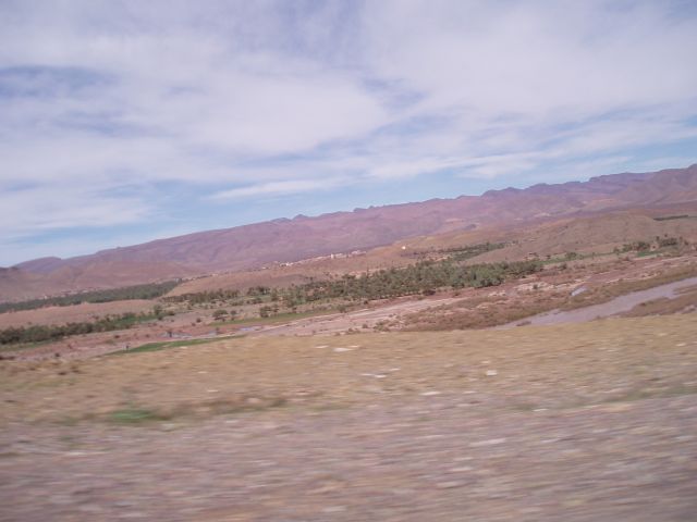 P1010460.JPG